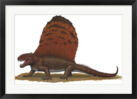 Framed Dimetrodon Print