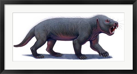 Framed Kayentatherium, a Mammal-like Tritylodont of the Jurassic Period Print