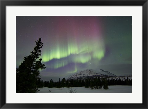 Framed Red and Green Aurora Borealis over Carcross Desert, Canada Print