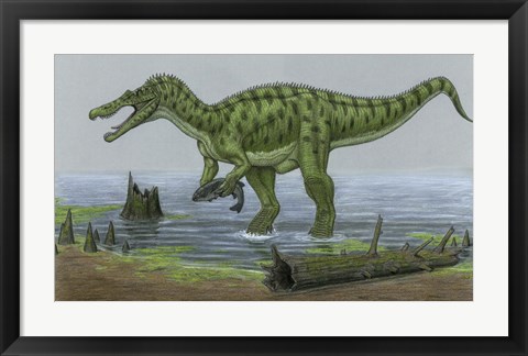 Framed Baryonyx Walkeri Catches a Fish Print