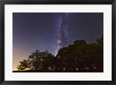 Framed Milky Way Above LiveOoak and Mesquite Trees Print