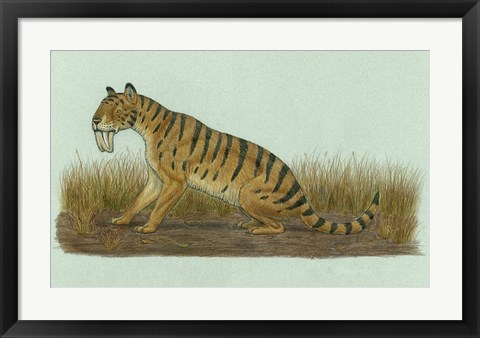 Framed Thylacosmilus Atrox Print