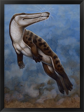 Framed Ambulocetus Natans Print