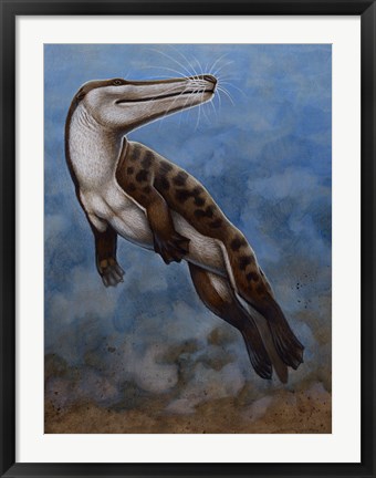 Framed Ambulocetus Natans Print