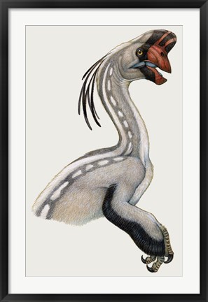 Framed Oviraptor, a Small Dinosaur that Lived During the Cretaceous period Print