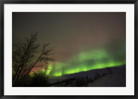 Framed Aurora Borealis, Twin Lakes, Yukon, Canada Print