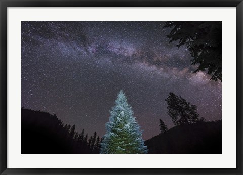 Framed Pine Tree Glows Under the Arch of the Milky Way Print