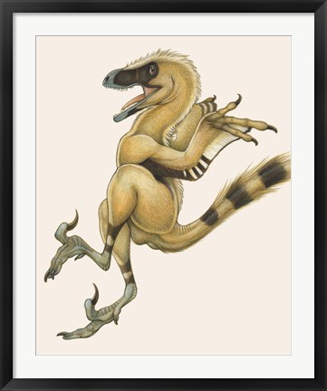 Framed Bambiraptor Print