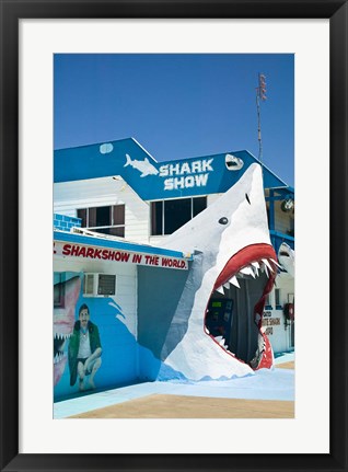 Framed Australia, Queensland, Hervey Bay, Shark Show Print