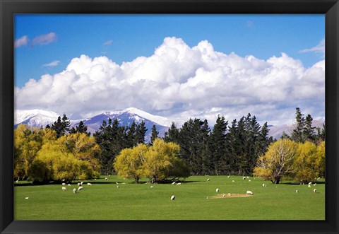 Framed Farmland in Southland, South Island, New Zealand Print