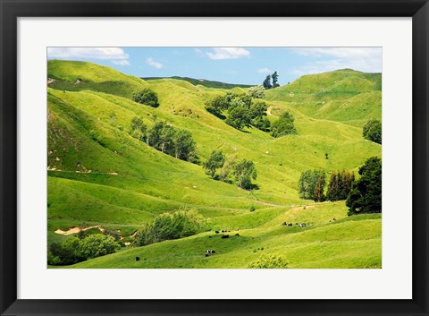 Framed Farmland near Gisborne, New Zealand Print