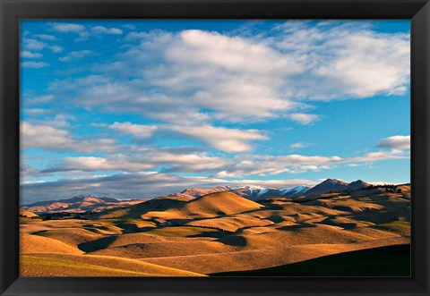 Framed North Otago Landscape, South Island, New Zealand Print