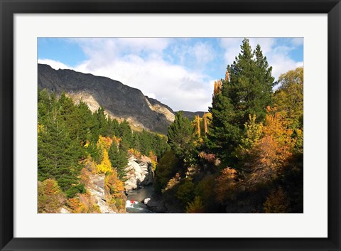 Framed Shotover Jet, Shotover River, Queenstown, New Zealand Print