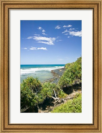Framed Australia, Gold Coast, Burleigh Head NP beach Print