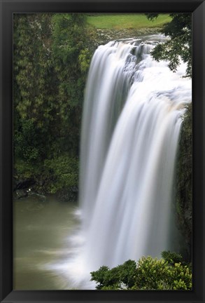 Framed Whangarei Falls, Whangarei, Northland, New Zealand Print