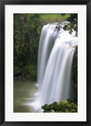 Framed Whangarei Falls, Whangarei, Northland, New Zealand Print