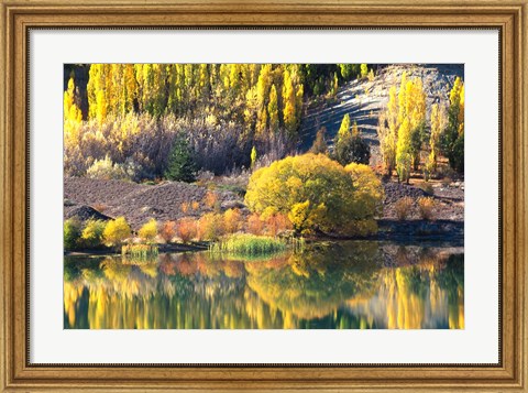 Framed Autumn Colours, Lake Dunstan, Central Otago, New Zealand Print