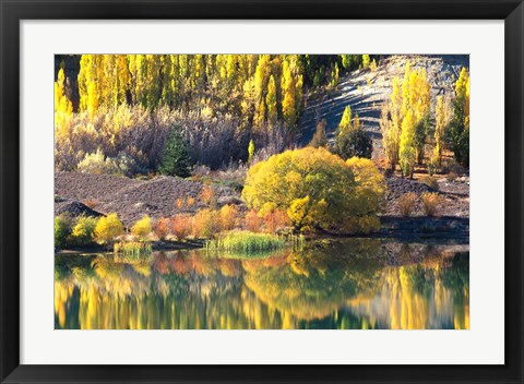 Framed Autumn Colours, Lake Dunstan, Central Otago, New Zealand Print