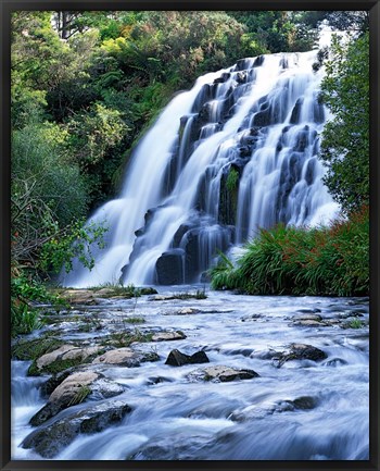 Framed Cascade, Karangahake Gorge, North Island, New Zealand Print