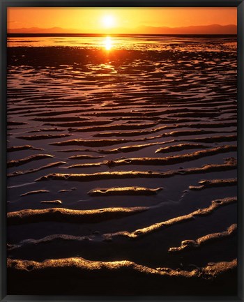 Framed Coast at sunset, Abel Tasman National Park, New Zealand Print