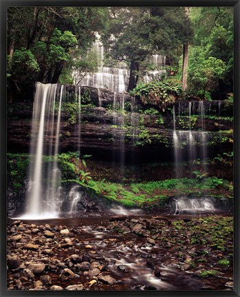 Framed Australia, Tasmania, Mount Field NP, Russell Falls Print