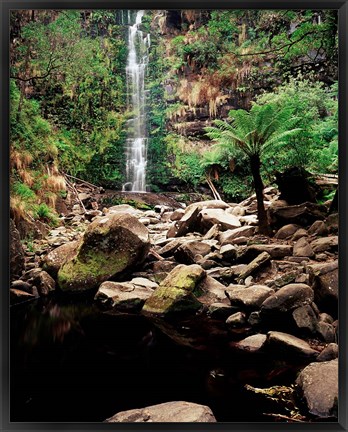 Framed Erskine Falls, Lorne, Victoria, Australia Print