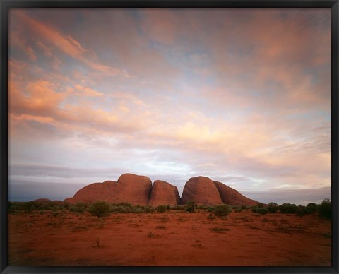 Framed Olgas, Uluru-Kata Tjuta NP, Northern Territory, Australia Print