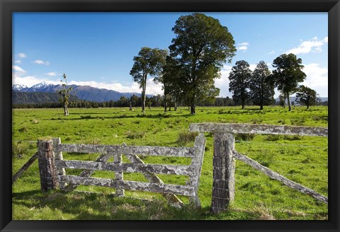 Framed Gate and Farmland near Fox Glacier, West Coast, South Island, New Zealand Print