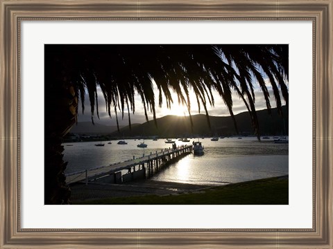 Framed Waikawa Bay, near Picton, Marlborough Sounds, South Island, New Zealand Print