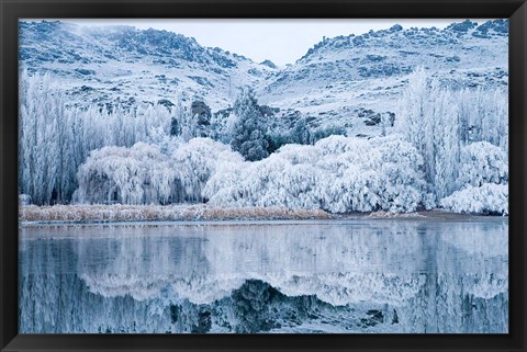 Framed Reflections and Hoar Frost, Butchers Dam, near Alexandra, Central Otago, South Island, New Zealand Print