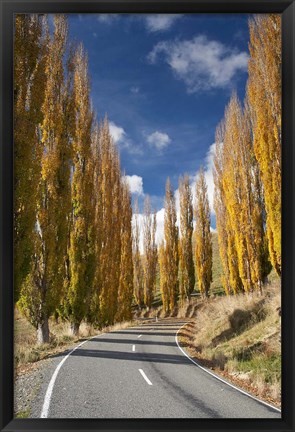 Framed Autumn, Rangitikei District, North Island, New Zealand Print