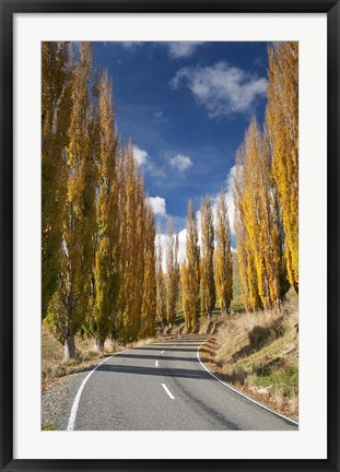 Framed Autumn, Rangitikei District, North Island, New Zealand Print