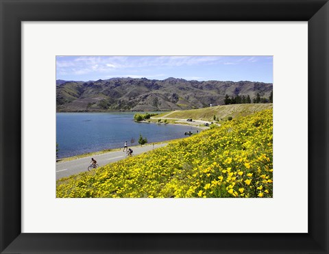 Framed Californian Poppies and Cyclists, Lake Dunstan, South Island, New Zealand Print