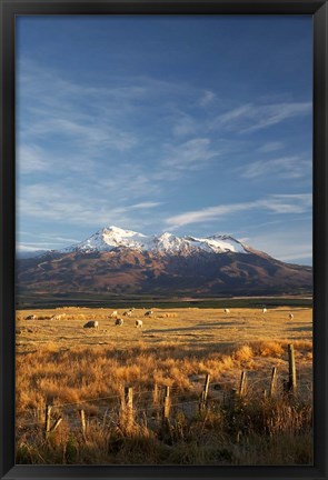 Framed Farm Scene, Mt Ruapehu, North Island, New Zealand Print