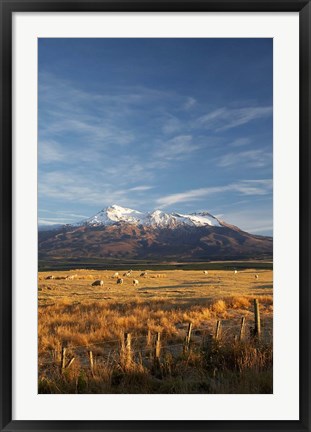 Framed Farm Scene, Mt Ruapehu, North Island, New Zealand Print