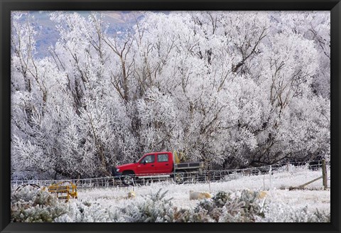 Framed Four Wheel Drive and Hoar Frost, Sutton, Otago, South Island, New Zealand Print