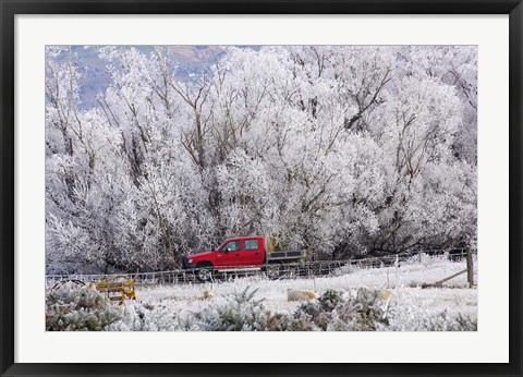 Framed Four Wheel Drive and Hoar Frost, Sutton, Otago, South Island, New Zealand Print