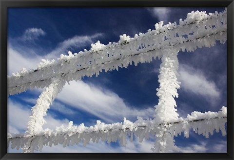 Framed Frosty Wire Fence, Otago, South Island, New Zealand Print