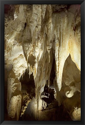 Framed Stalactites, Ruakuri Caves, North Island, New Zealand Print