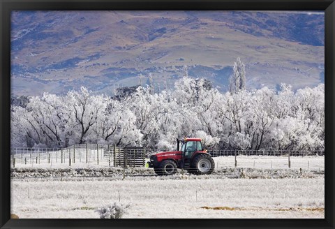 Framed Tractor and Hoar Frost, Sutton, Otago, South Island, New Zealand Print