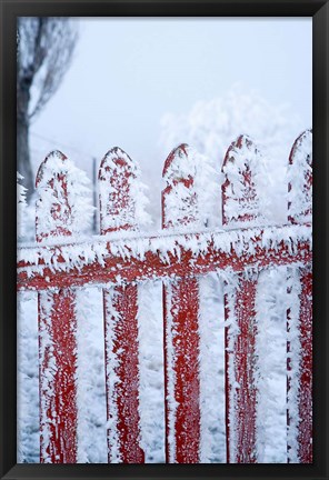 Framed Frost on Gate, Mitchell&#39;s Cottage and Hoar Frost, Fruitlands, near Alexandra, Central Otago, South Island, New Zealand Print