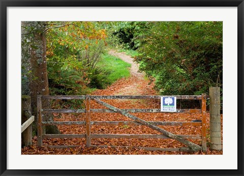 Framed Gate and Oak Leaves, Te Wera Arboretum, Forgotten World Highway, Taranaki, North Island, New Zealand Print