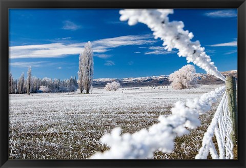 Framed Hoar Frost and Farmland near Poolburn, Central Otago, South Island, New Zealand Print