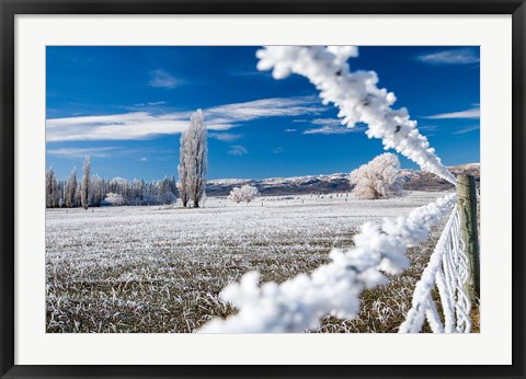 Framed Hoar Frost and Farmland near Poolburn, Central Otago, South Island, New Zealand Print