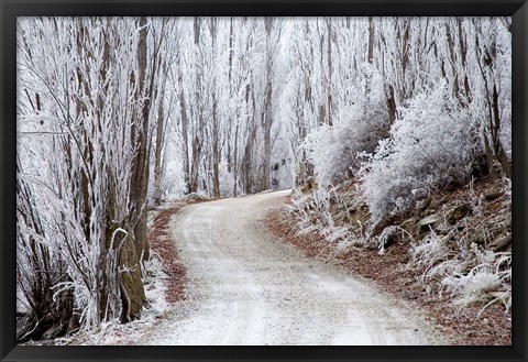 Framed Hoar Frost and Road by Butchers Dam, South Island, New Zealand (horizontal) Print