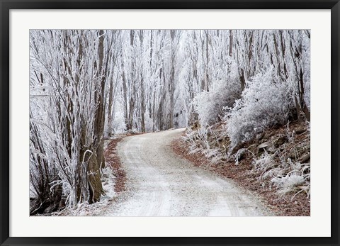 Framed Hoar Frost and Road by Butchers Dam, South Island, New Zealand (horizontal) Print