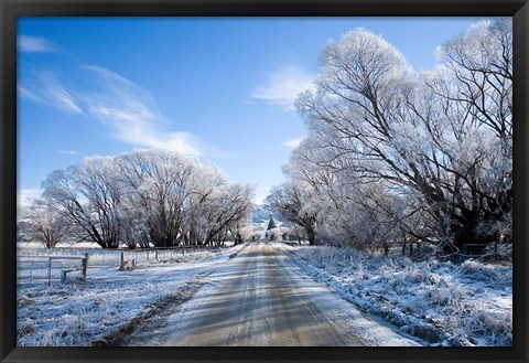 Framed Hoar Frost near Oturehua, Central Otago, South Island, New Zealand Print