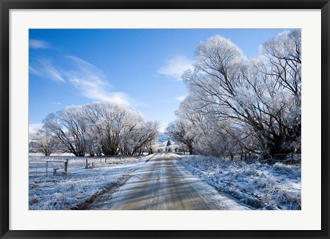 Framed Hoar Frost near Oturehua, Central Otago, South Island, New Zealand Print