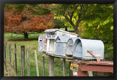 Framed Letterboxes, King Country, North Island, New Zealand Print