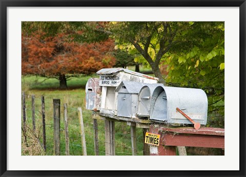 Framed Letterboxes, King Country, North Island, New Zealand Print